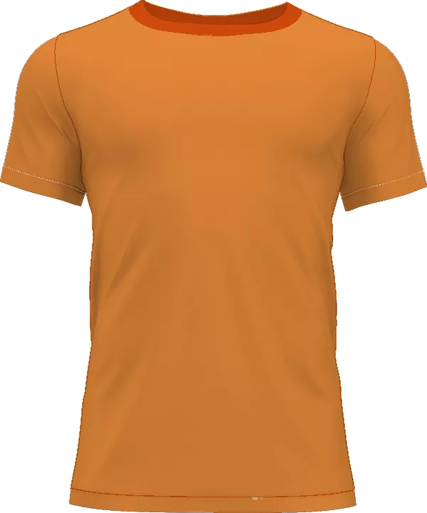 Aalesund shirt