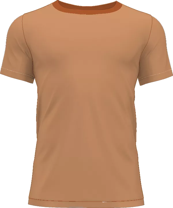 AFC Wimbledon shirt
