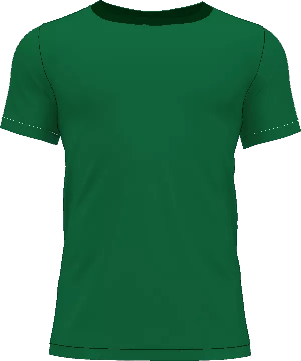 Palmeiras shirt