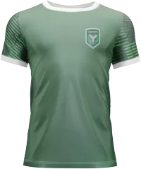 Ludogorets