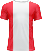 FC Emmen Logo